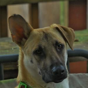 Meet your Posher, Kathy